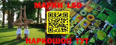сатива Аргун