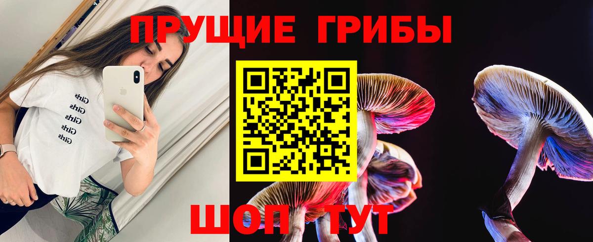 Псилоцибиновые грибы прущие грибы  Вход с VPN  Анжеро-Судженск  Псилоцибиновые грибы Psilocybine cubensis 