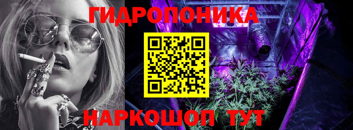 Бошки марихуана SATIVA & INDICA  Вход с VPN  Анжеро-Судженск  Конопля Bruce Banner 